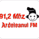 Logo de Ardeleanul FM