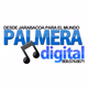 Logo de Palmera Digital