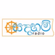 Logo de The Radio Network - Sadaham Radio