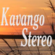 Logo de Kavango Stereo