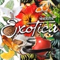 Exotica Radio logo