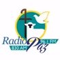 Radio Paz - W241DI logo