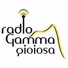 GammaGioiosa - Love Songs logo