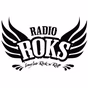 Radio Roks - Український Рок logo