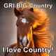 Logo de GRI Radio Network - GRI BIG Country