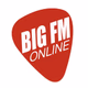 Logo de Big FM Radio