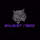 Logo de Wildcat FM