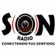 Logo de Radio Son de Costa Rica
