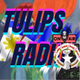 Logo de Tulips Radio