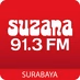 Logo de Suzana 91.3 FM
