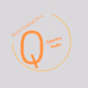 Logo de North Central PA's Q Country Radio