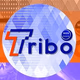 Logo de Web Rádio Tribo