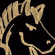 Logo de NightRideUSA