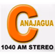 Canajagua AM Stereo logo