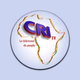 Logo de CRI Radio International
