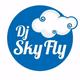 Logo de RADIO SKYFLY