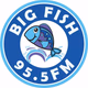 Logo de ZFKO Big Fish 95.5