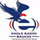 Logo de Eagle Radio Bauchi