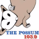Logo de 103.9 The Possum - WQKS-HD4