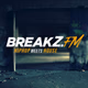 Logo de RauteMusik - BreakZ.FM