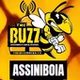 The Buzz Assiniboia logo