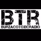 Logo de Burzaco Toxic Radio