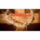 Logo de Estación Salva Vidas