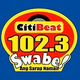 Logo de CitiBeat 102.3 - DWKV