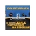 Logo de Delta Piraat