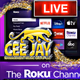 Logo de CJ MGNT RADIO