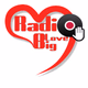Logo de Radio Big Love Diaspora