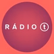 Rádio T Guarapuava logo