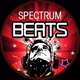 Logo de SpectrumFM - Beats