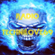 Logo de Radio technilove69
