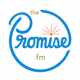 Logo de The Promise FM - WQHN