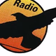Logo de Radio Fenix 99.3