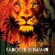 Logo de Radioras Benjamin