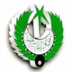 Logo de Radio Pakistan - FM 101 Abbotabad