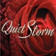 All Webradio Group - All Quiet Storm logo