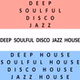 Deep Soulful Disco Jazz House Radio logo