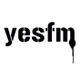 YES FM - WYSZ logo