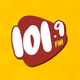Logo de Rede de Rádios 101.9 FM