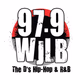 Logo de FM 98 WJLB - WJLB