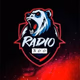 Logo de Radio 300