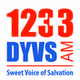 1233 DYVS - DYVS logo