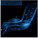 Logo de Solid Soul Grooves