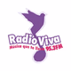 Logo de Radio Viva 95.3 FM