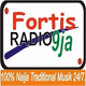 Logo de Fortis Radio - Naija's Christian Music
