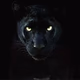 Logo de 957 The Panther - WQAR-LP