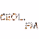 Logo de Ceol FM - Live